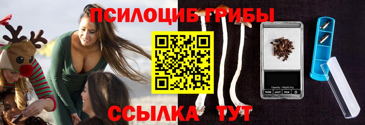 Галлюциногенные грибы прущие грибы Санкт-Петербург