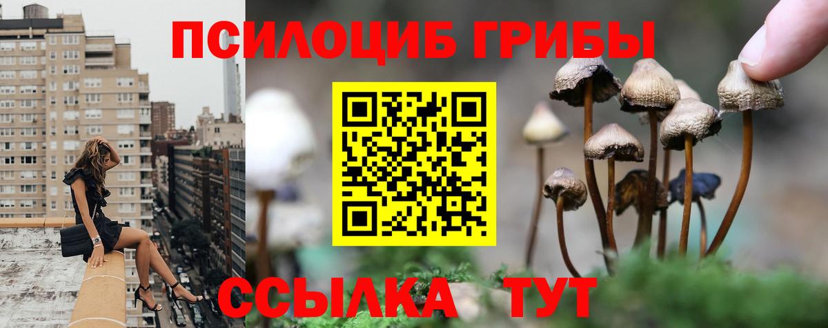 Псилоцибиновые грибы Psilocybe  Псилоцибиновые грибы Psilocybine cubensis  Санкт-Петербург  Вход с VPN 